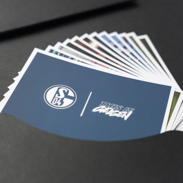 FC Schalke 04 Architecture Pack (Postkarten)